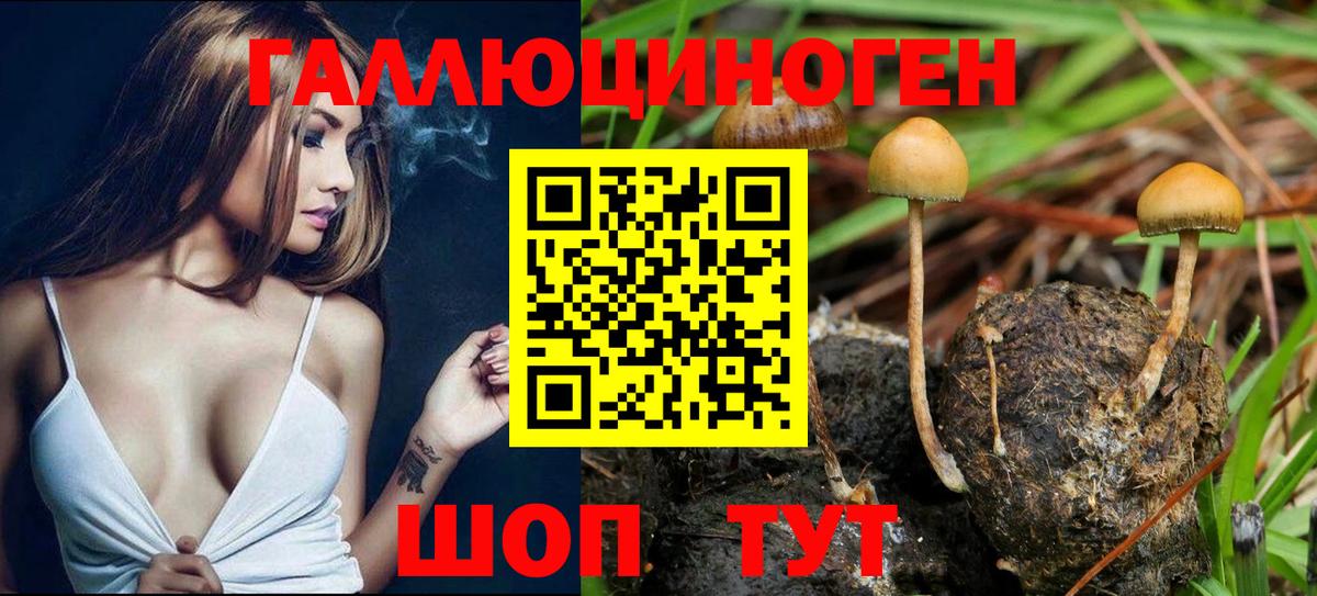 Гашиш  КОКАИН  Метамфетамин  ТГК  Тосно  МЕФ   Конопля  Вход с VPN  MDMA  ЭКСТАЗИ 